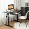 48 Inch Electric Sit to Stand Desk with Keyboard Tray and 2 Hanging Hooks